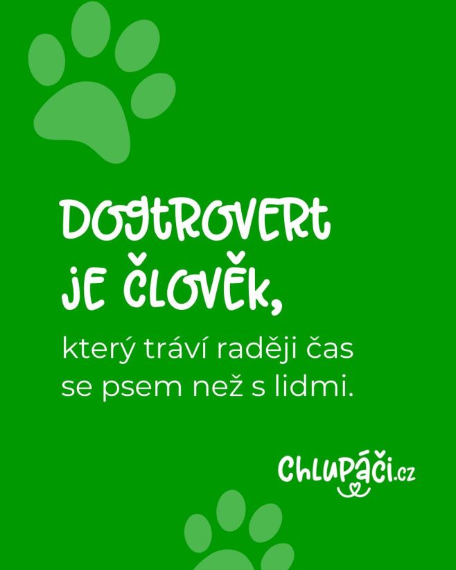 Jste jím taky? 🤪