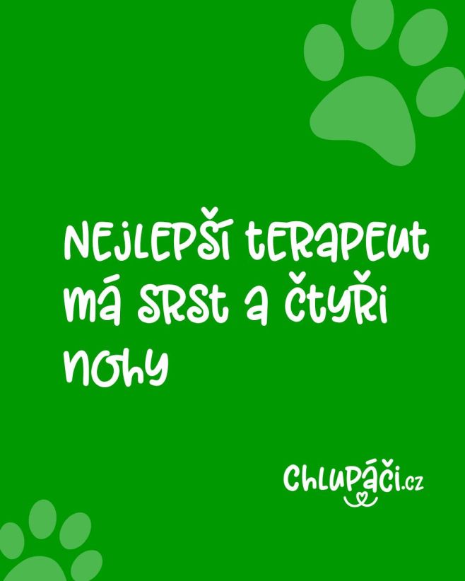 A je i levnější 🤪